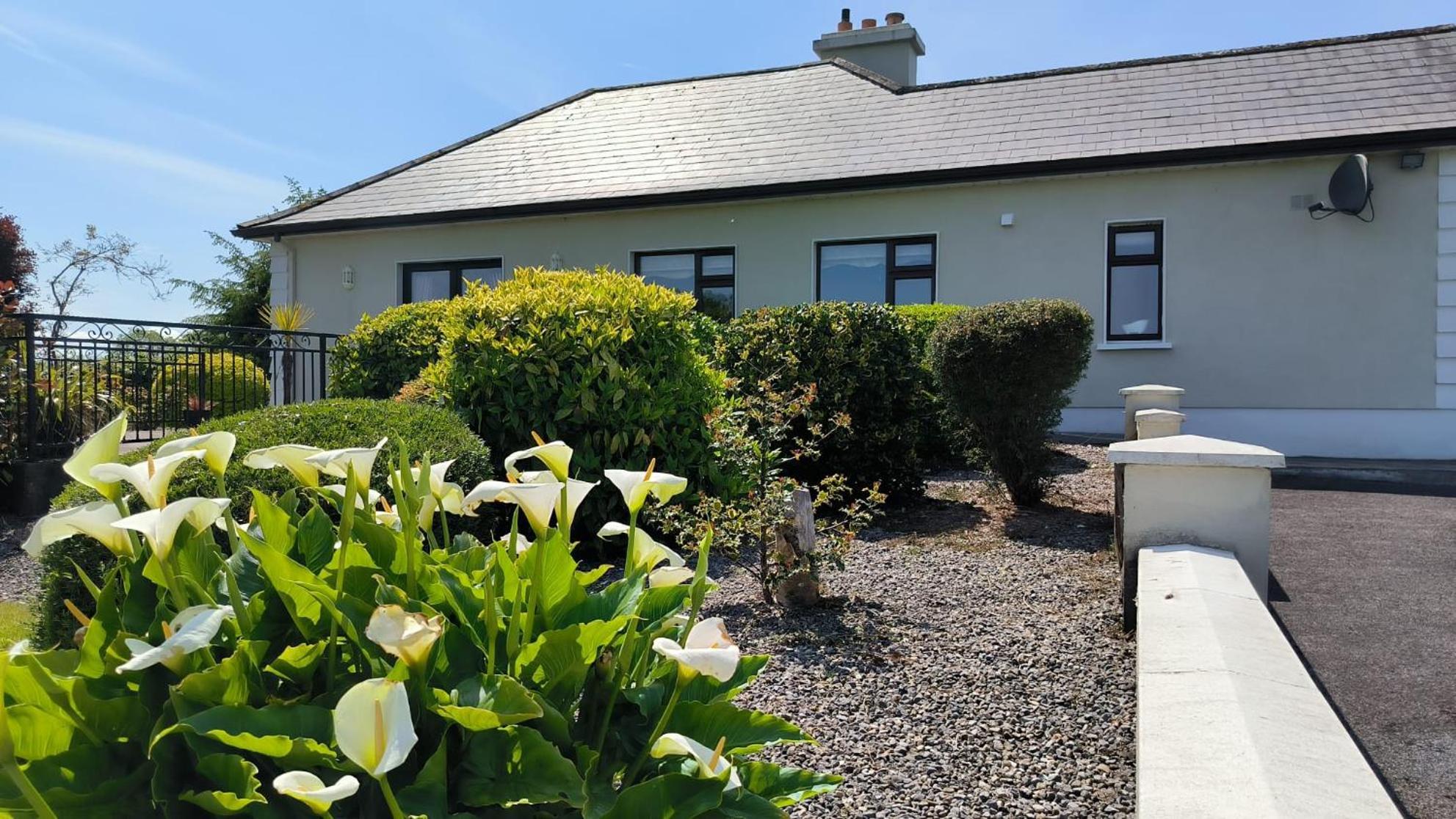 Swinford Country House Εξωτερικό φωτογραφία